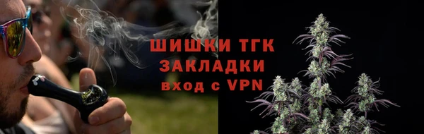 ГАЛЛЮЦИНОГЕННЫЕ ГРИБЫ Щигры