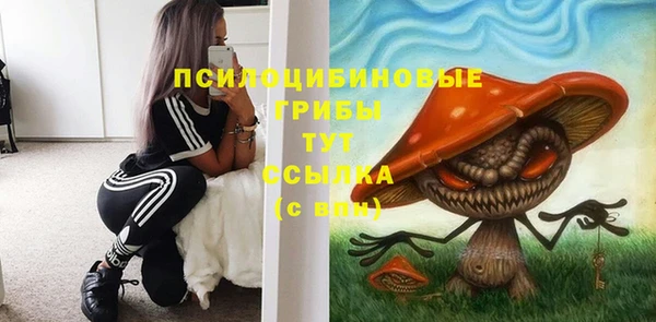 прущие крисы Протвино