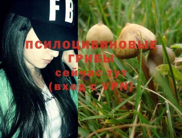 MDMA Снежногорск